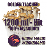 Golden Teacher Kit